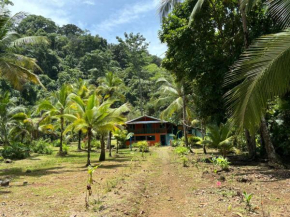 Mar y Selva